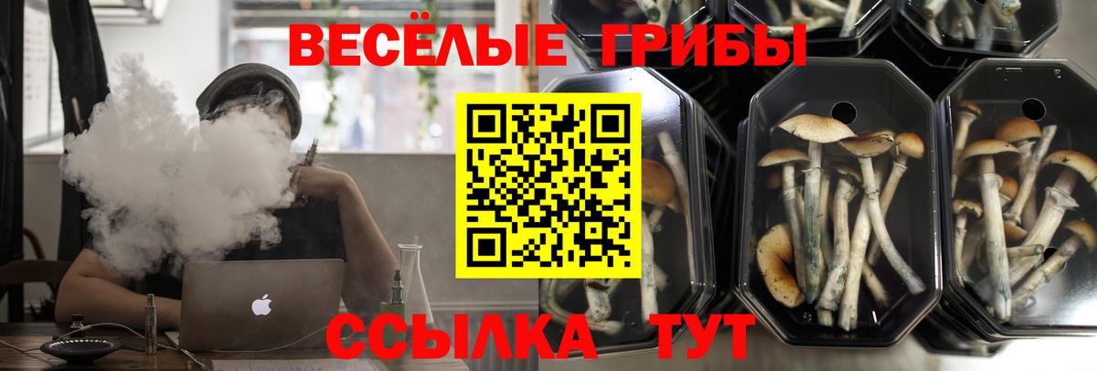 Псилоцибиновые грибы ЛСД  Галлюциногенные грибы Psilocybine cubensis  цена   Вход с VPN  Шелехов 